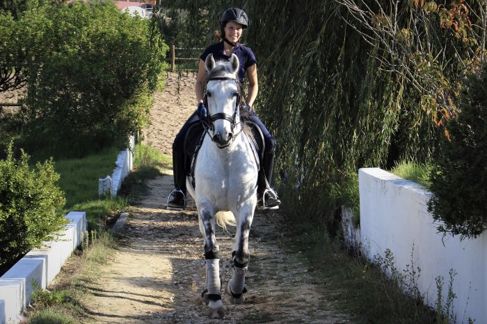Dressage training with Lusitanos on Alcainca