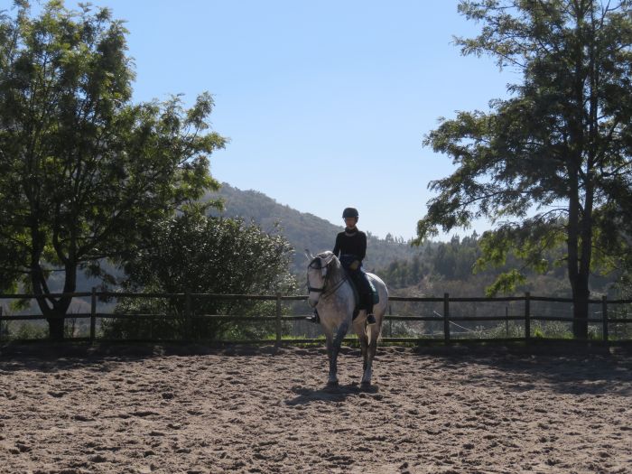 Dressage training with Lusitanos on Alcainca