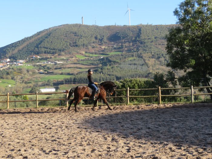 Dressage training with Lusitanos on Alcainca