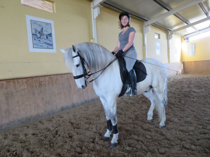 Dressage training with Lusitanos on Alcainca