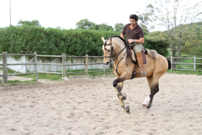 Dressage training with Lusitanos on Alcainca
