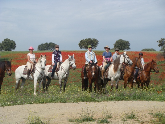 Ride with the King's Horses in Alentejo