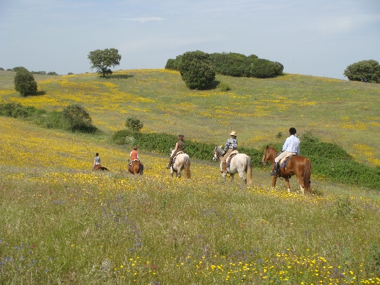 Ride with the King's Horses in Alentejo