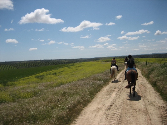Ride with the King's Horses in Alentejo