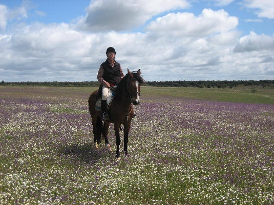 Ride with the King's Horses in Alentejo