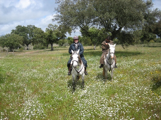 Ride with the King's Horses in Alentejo