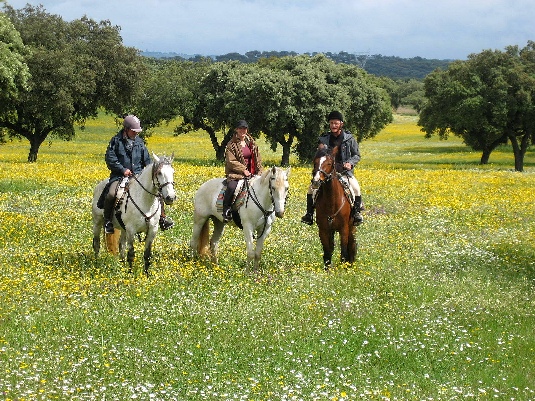 Ride with the King's Horses in Alentejo