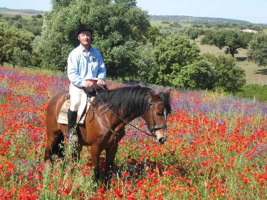 Ride with the King's Horses in Alentejo