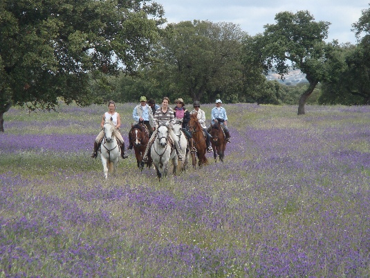 Ride with the King's Horses in Alentejo