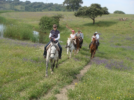Ride with the King's Horses in Alentejo