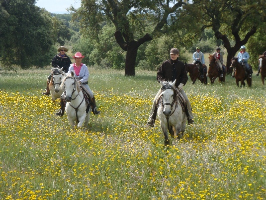 Ride with the King's Horses in Alentejo