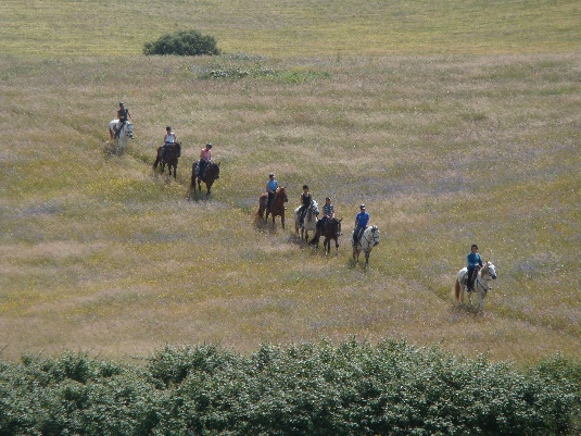 Ride with the King's Horses in Alentejo