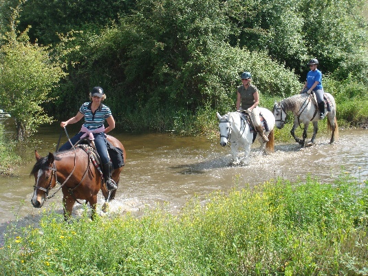 Ride with the King's Horses in Alentejo