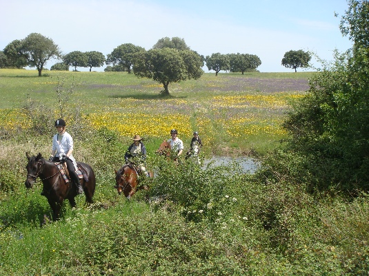 Ride with the King's Horses in Alentejo