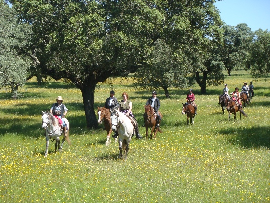 Ride with the King's Horses in Alentejo