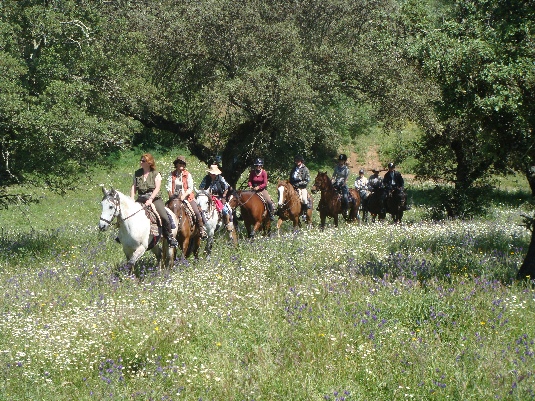 Ride with the King's Horses in Alentejo