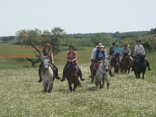 Ride with the King's Horses in Alentejo