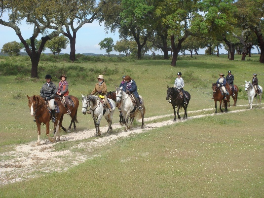 Ride with the King's Horses in Alentejo