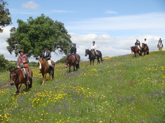 Ride with the King's Horses in Alentejo