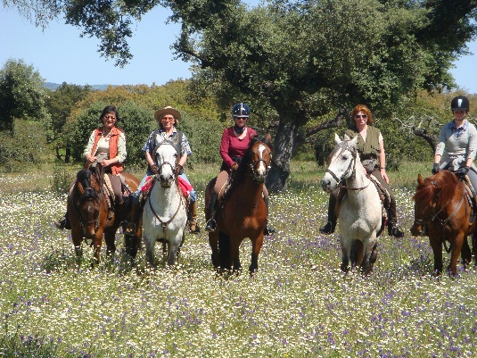 Ride with the King's Horses in Alentejo