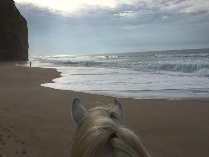 Trail to the Atlantic Ocean
