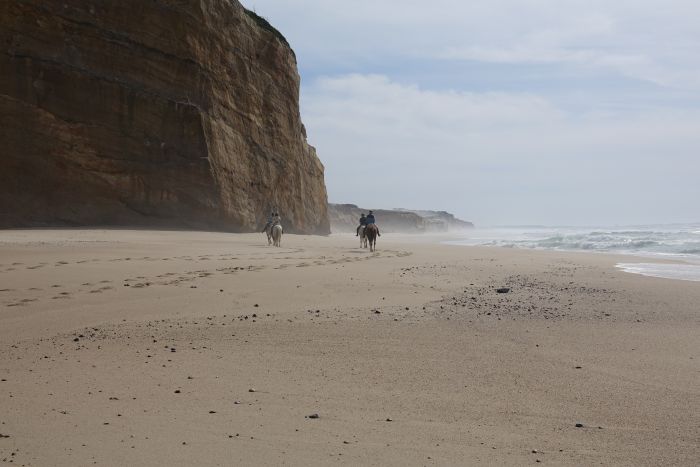 Trail to the Atlantic Ocean