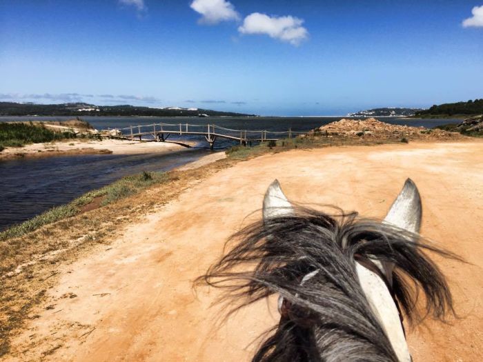 Trail to the Atlantic Ocean