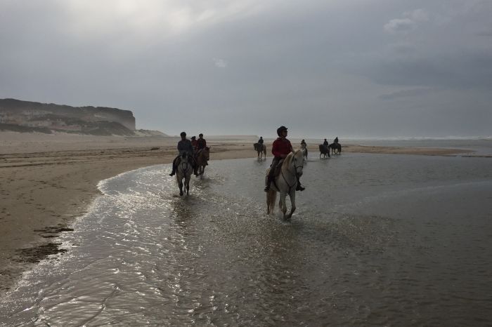 Trail to the Atlantic Ocean