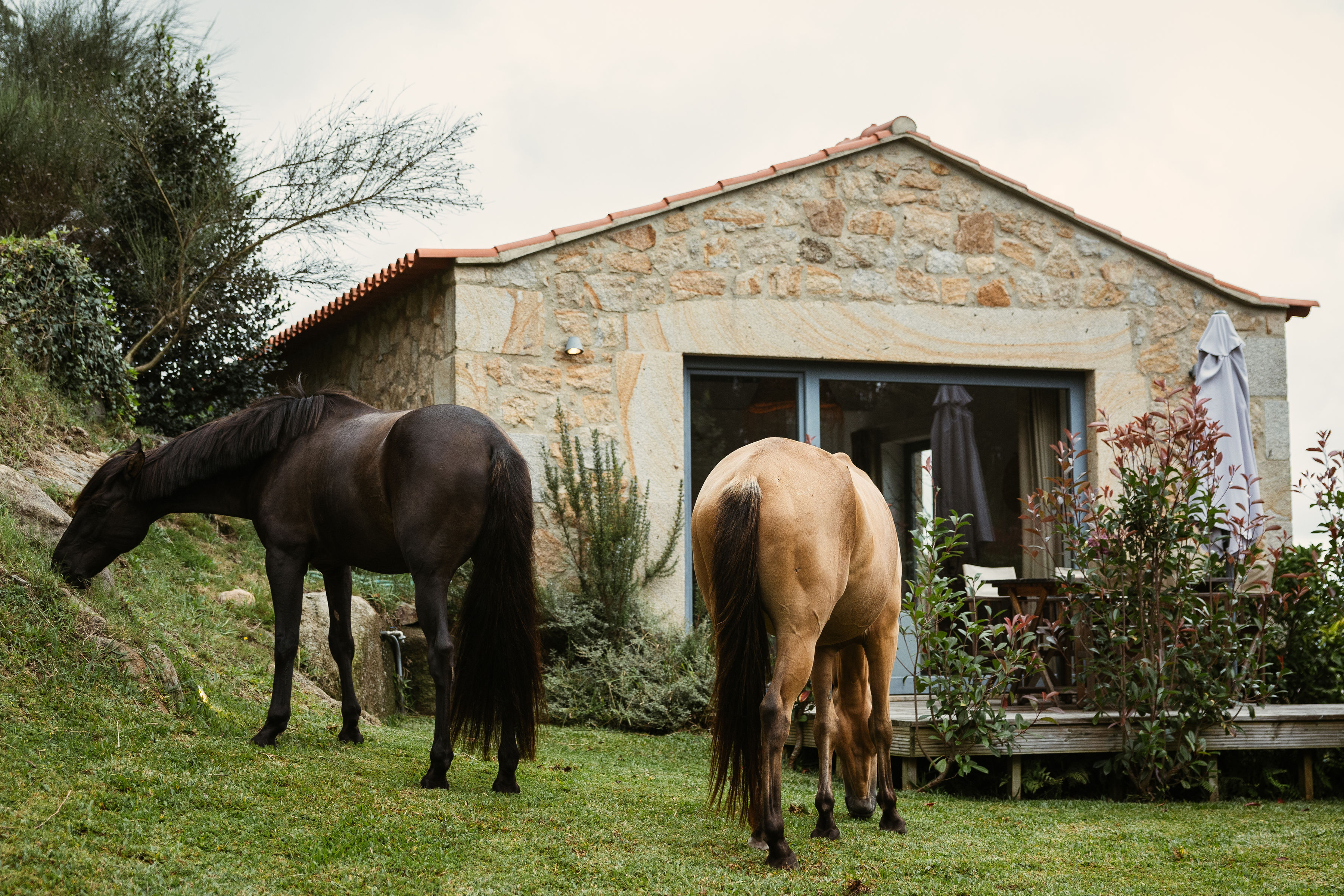 Comfort Trail at Serra d`Arga Accomodation