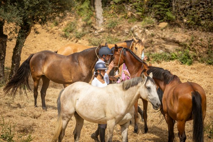 Comfort Trail at Serra d`Arga