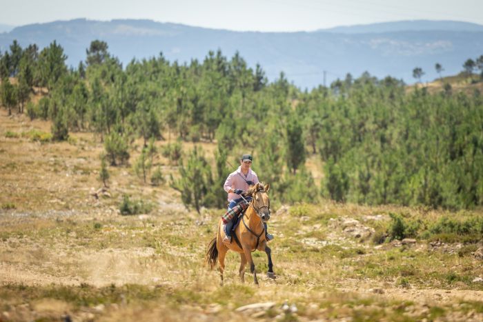 Comfort Trail at Serra d`Arga