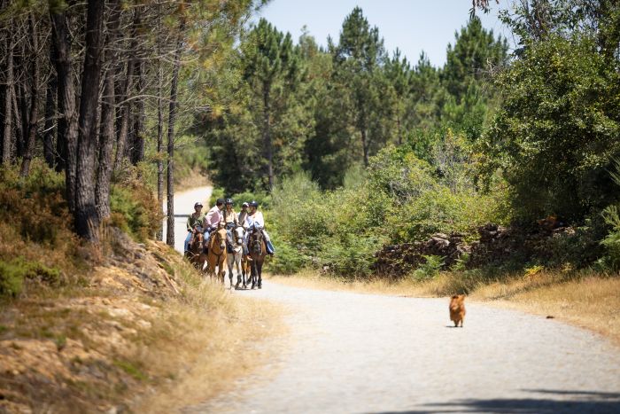 Comfort Trail at Serra d`Arga