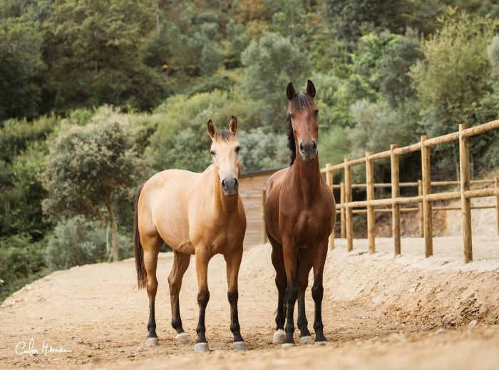 Comfort Trail at Serra d`Arga