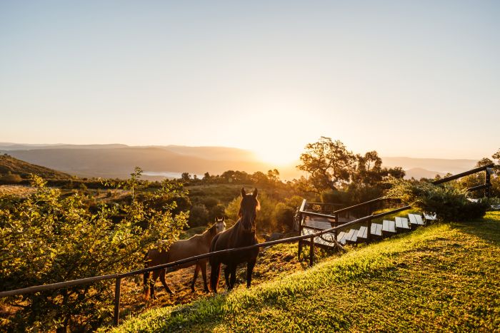 Comfort Trail at Serra d`Arga