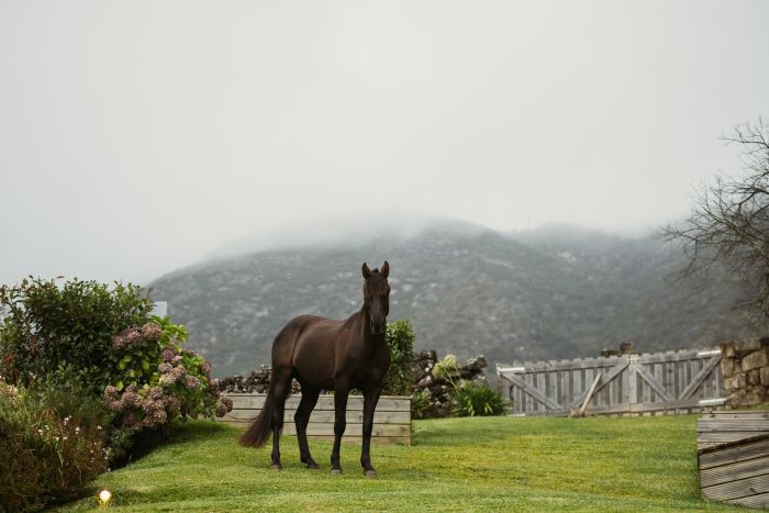 Comfort Trail at Serra d`Arga