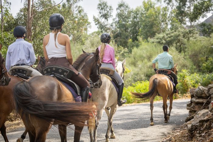 Comfort Trail at Serra d`Arga