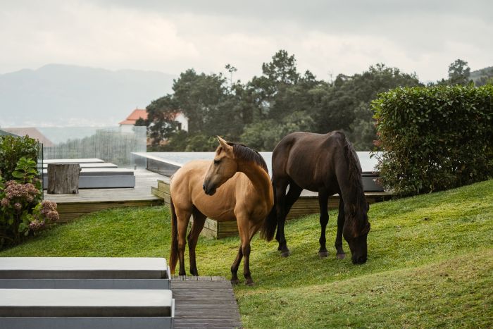 Comfort Trail at Serra d`Arga