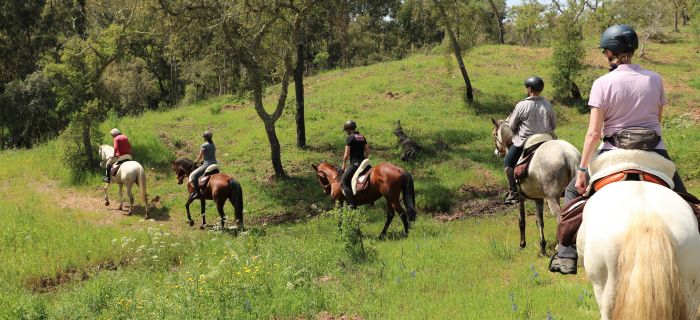 Arrabida Nature Park Trails