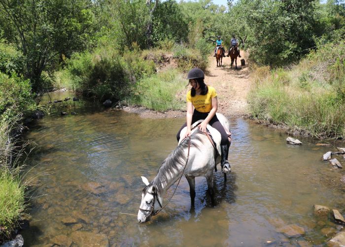 Arrabida Nature Park Trails