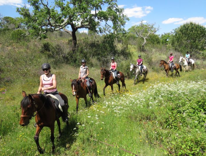 Arrabida Nature Park Trails