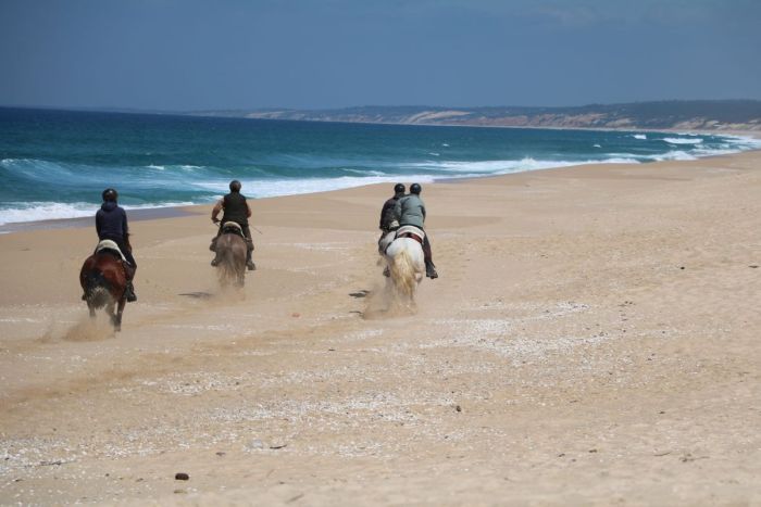 Arrabida Nature Park Trails