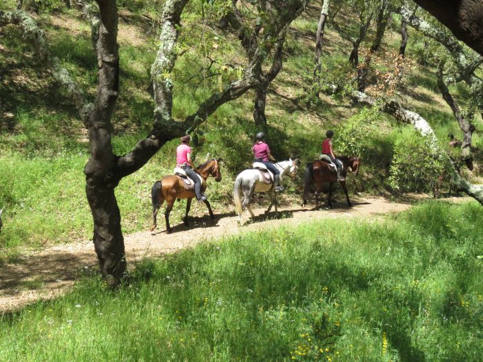 Arrabida Nature Park Trails