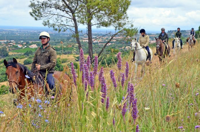 Arrabida Nature Park Trails