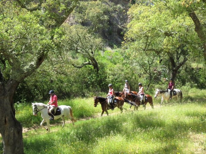 Arrabida Nature Park Trails