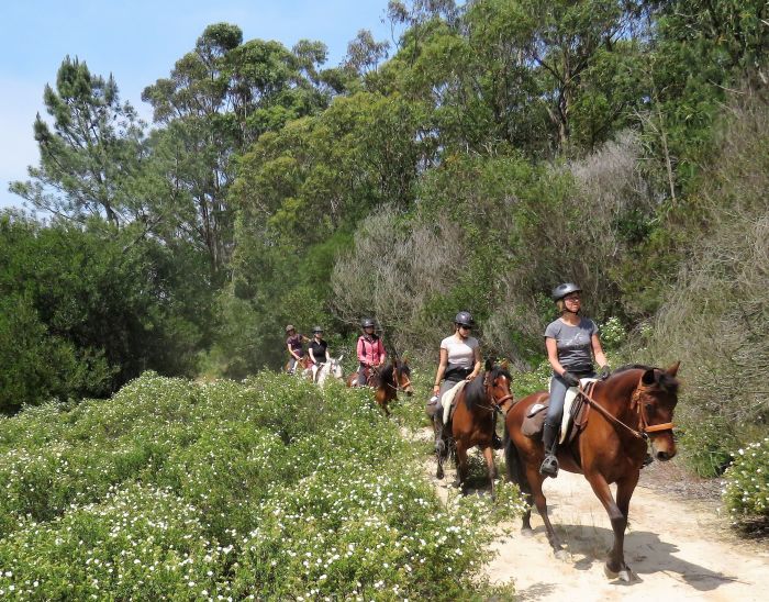 Arrabida Nature Park Trails