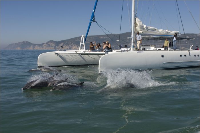 Dolphin Coast Ride