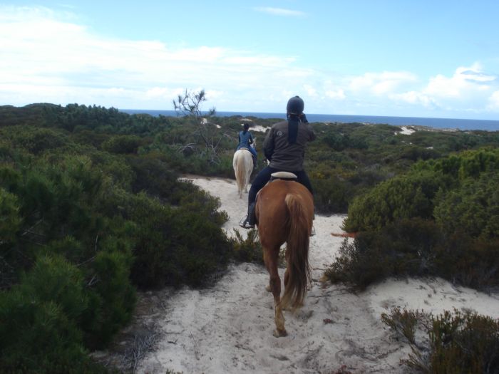 Dolphin Coast Ride