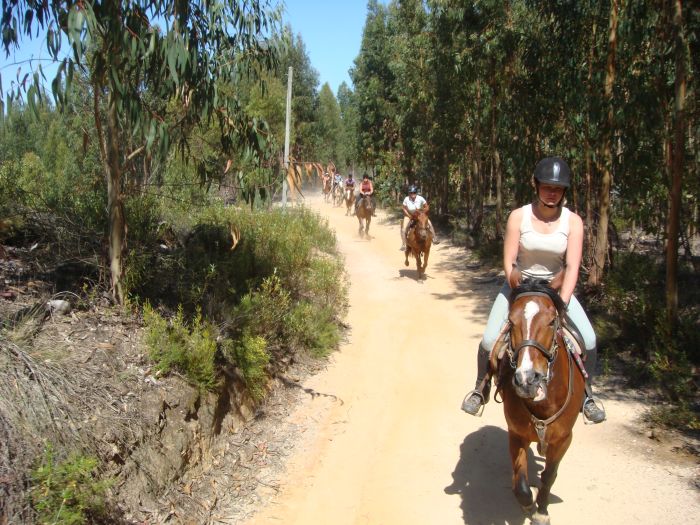 Dolphin Coast Ride