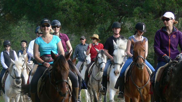 Dolphin Coast Ride