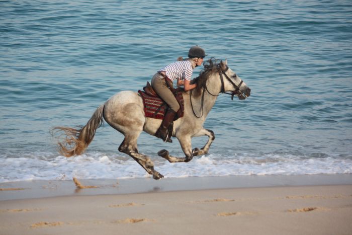 Dolphin Coast Ride